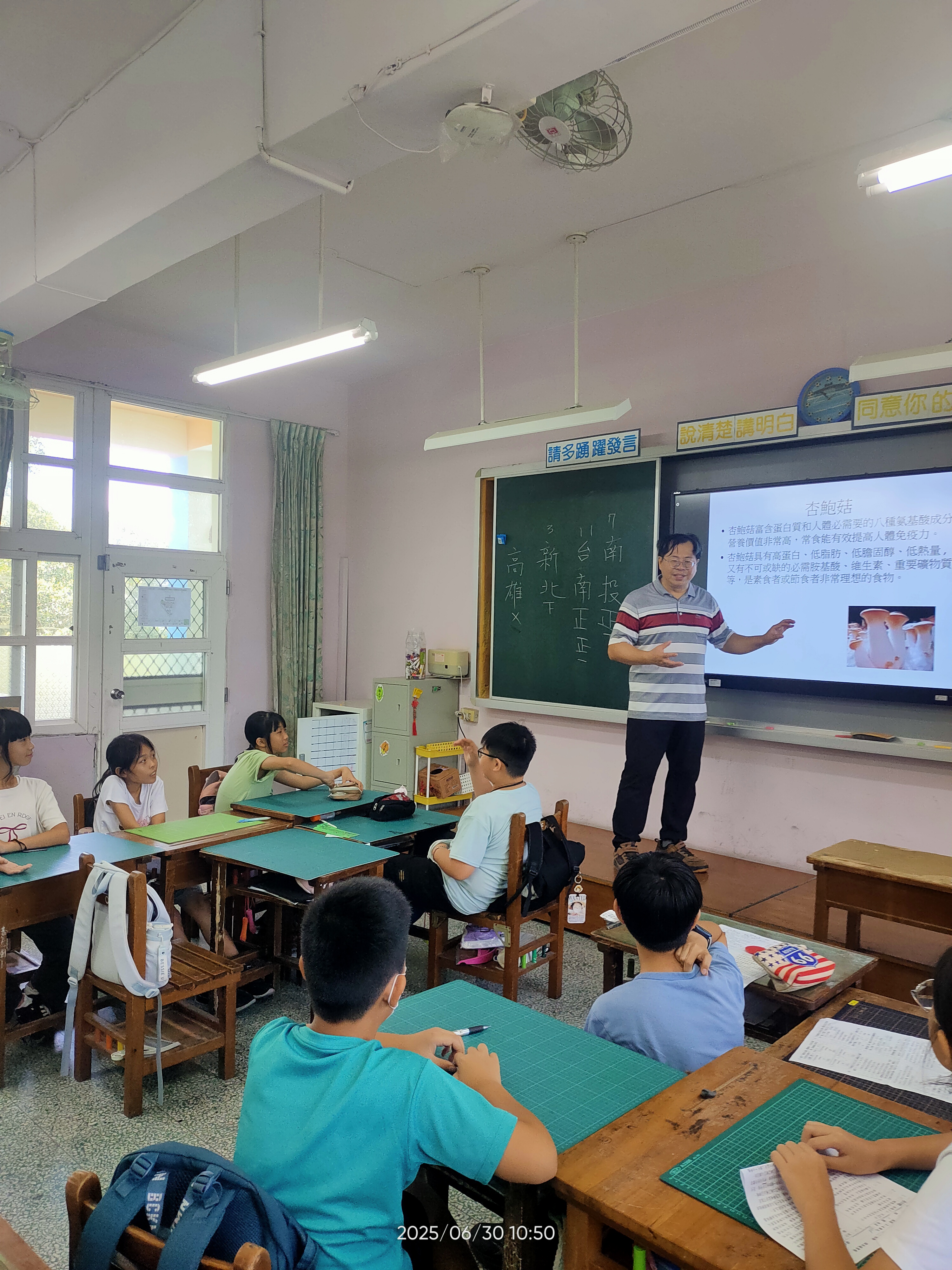 購買杏鮑菇要注意新鮮