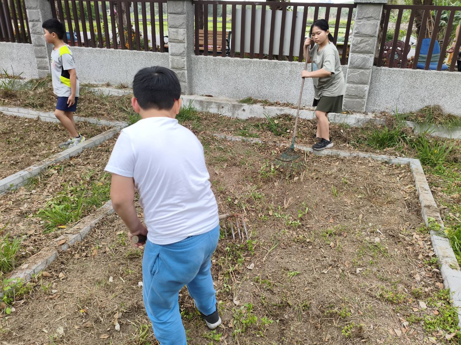 講師與導師帶領學生使用耙子、鐵掃把整地