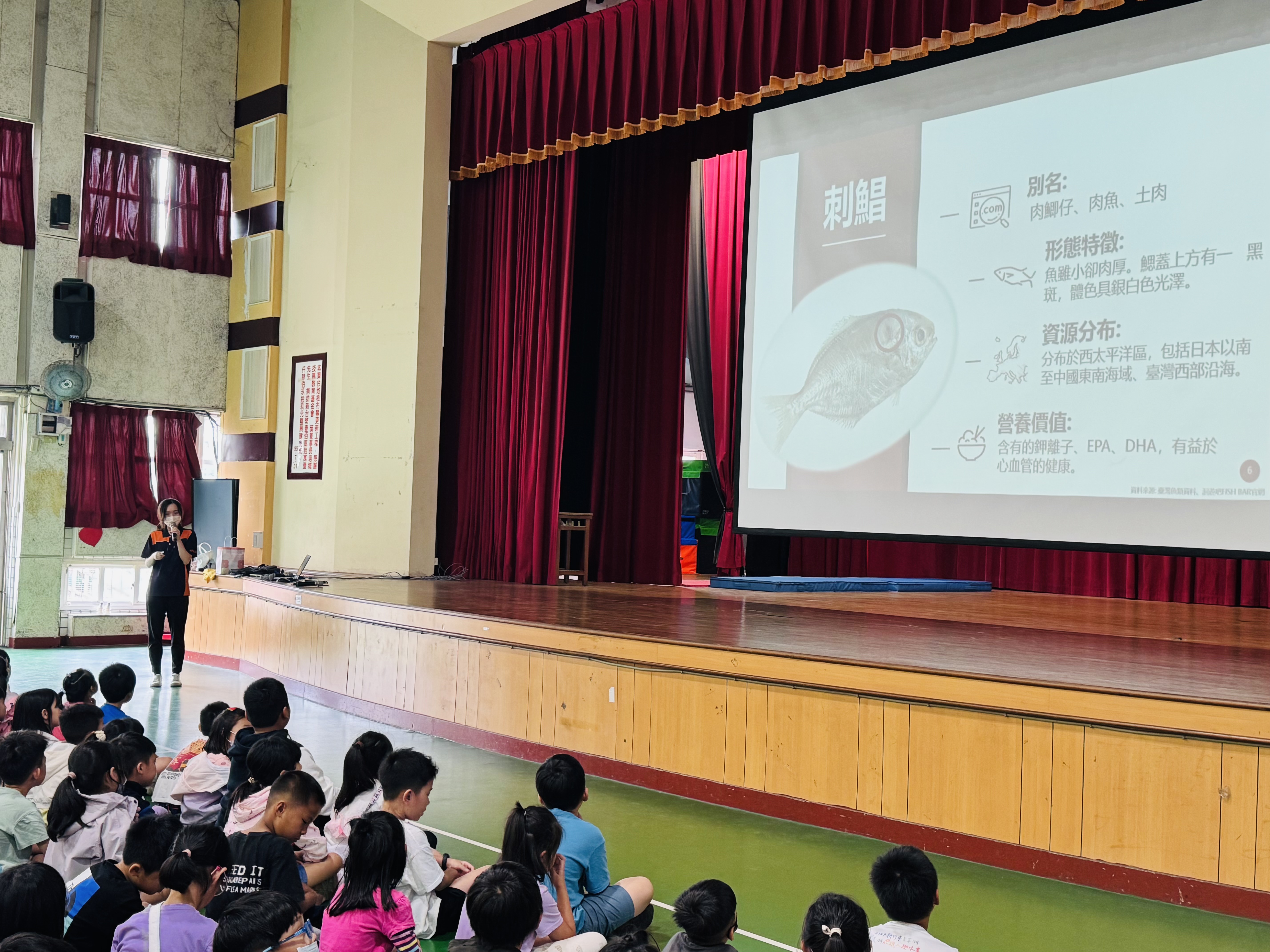 介紹魚的別名、特徵及分佈